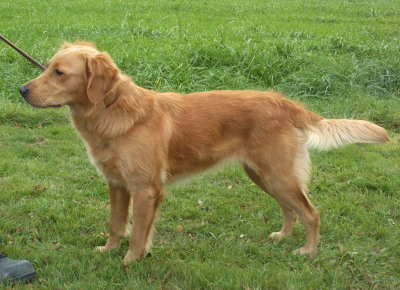 Alma