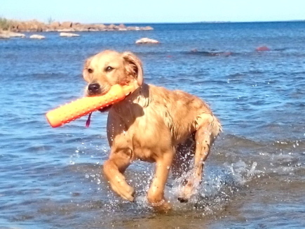 Xena